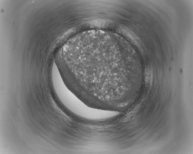 X0000085260637200704092115