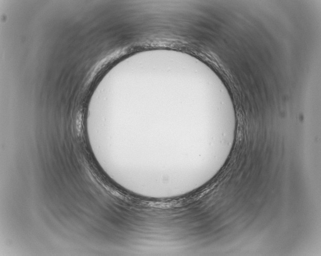 X0000085260640200704092115