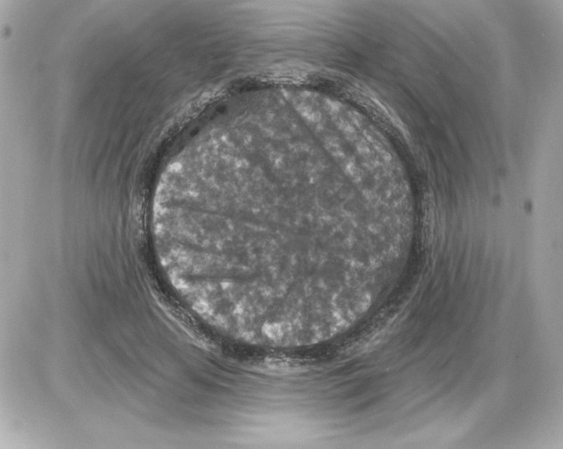 X0000085260641200704092115