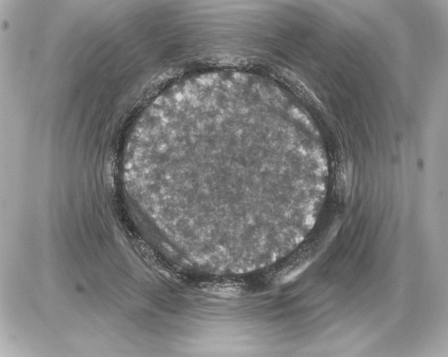 X0000085260643200704092115