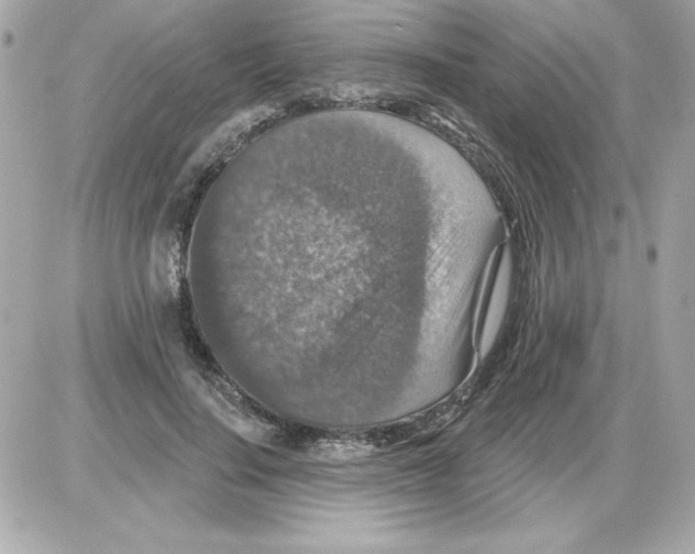 X0000085260644200704092115