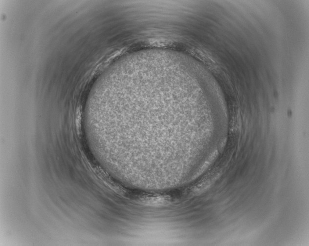 X0000085260646200704092115