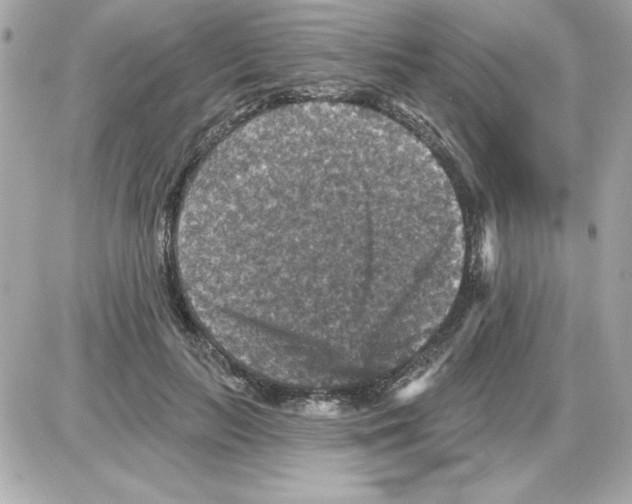 X0000085260647200704092115