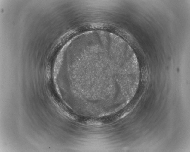 X0000085260648200704092115