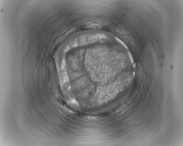 X0000085260649200704092115