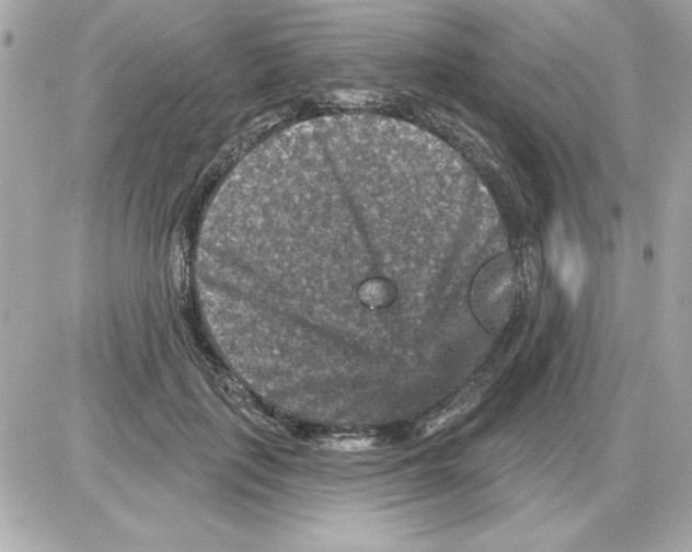 X0000085260651200704092115