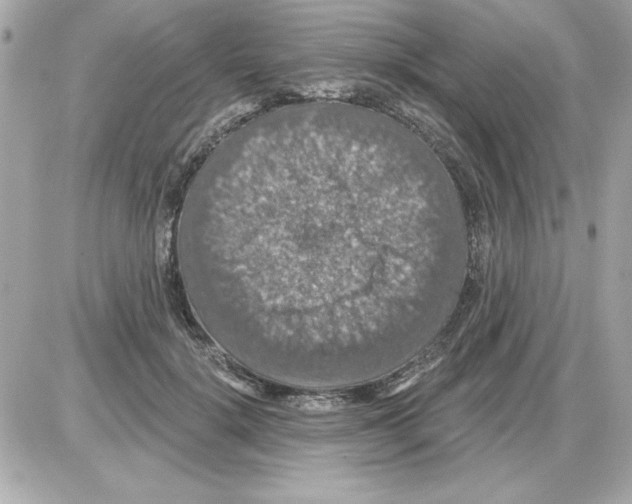 X0000085260652200704092115