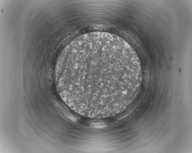 X0000085260653200704092115