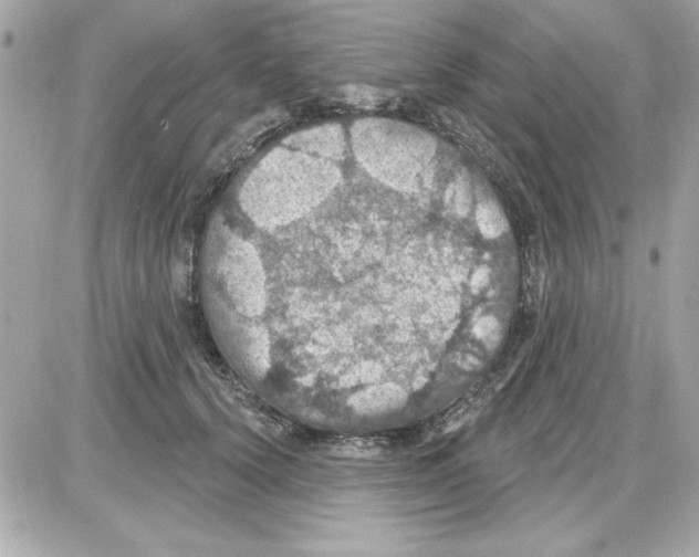 X0000085260656200704092116