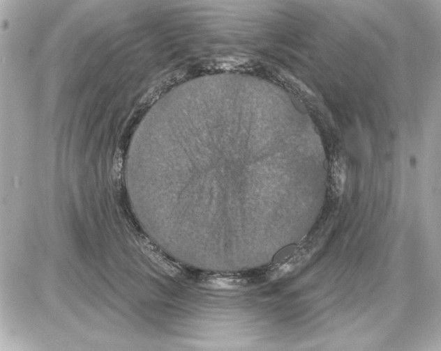 X0000085260657200704092116