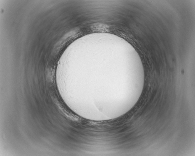 X0000085260658200704092116