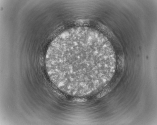 X0000085260659200704092116