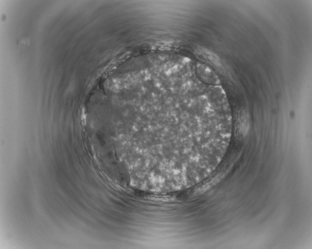 X0000085260661200704092116