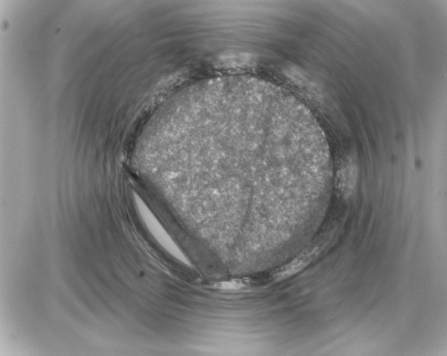 X0000085260662200704092116