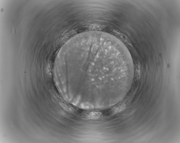 X0000085260663200704092116