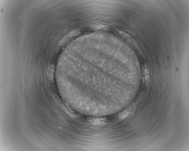 X0000085260664200704092116