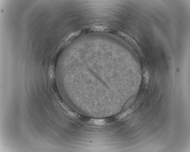 X0000085260665200704092116