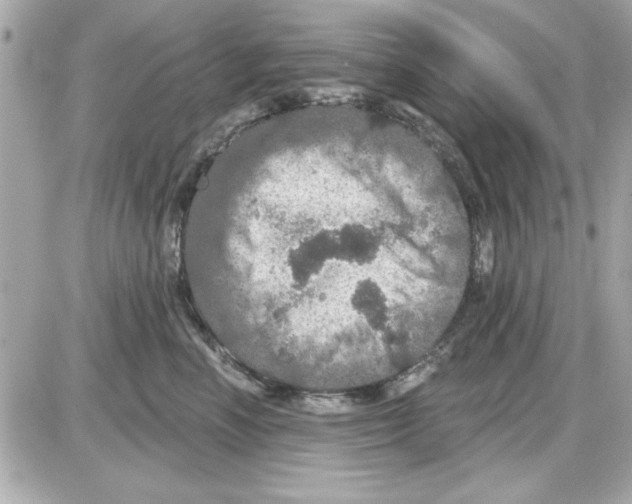 X0000085260666200704092116