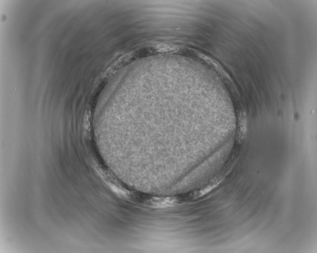 X0000085260667200704092116