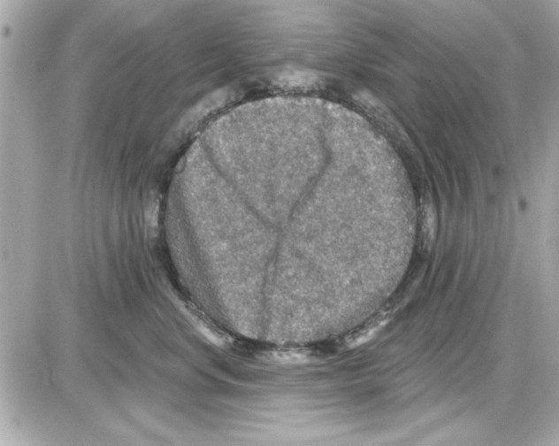 X0000085260668200704092116