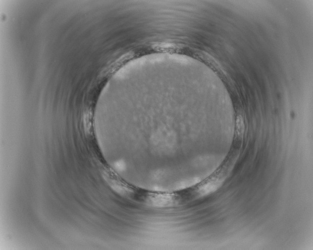 X0000085260671200704092116