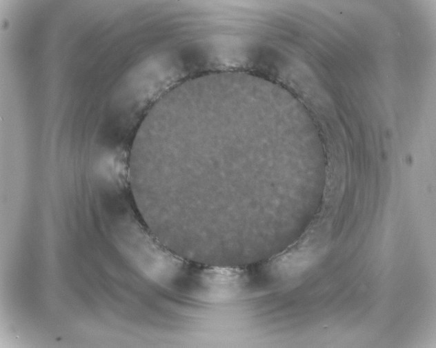 X0000085260672200704092116