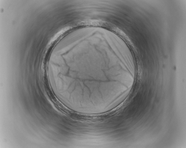 X0000085260674200704092115