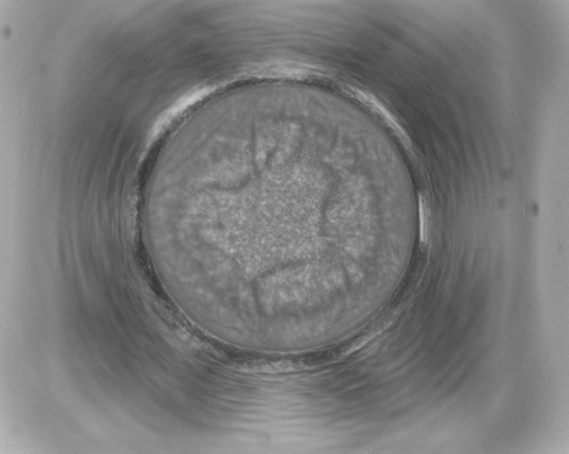 X0000085260675200704092115