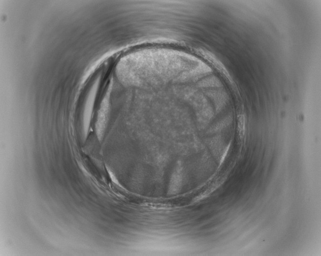 X0000085260676200704092115