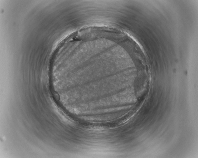 X0000085260677200704092115