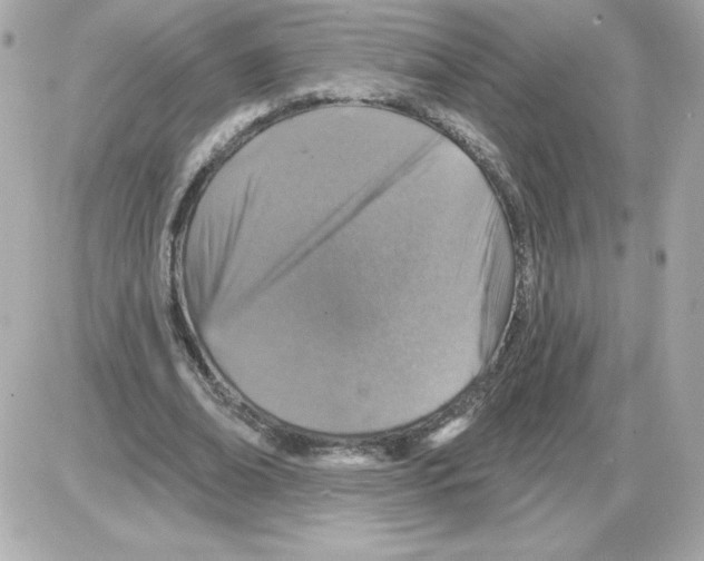 X0000085260678200704092115