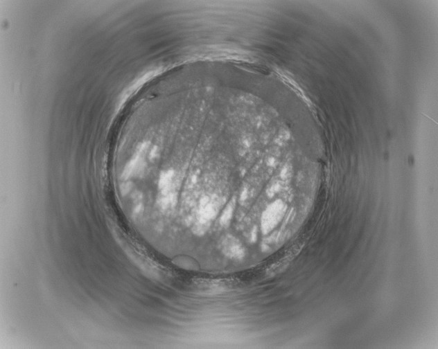 X0000085260679200704092115