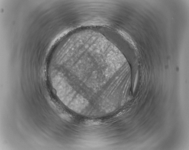 X0000085260680200704092115