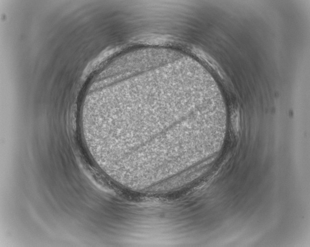 X0000085260682200704092115