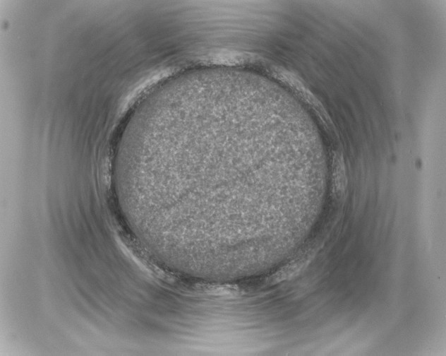 X0000085260683200704092115