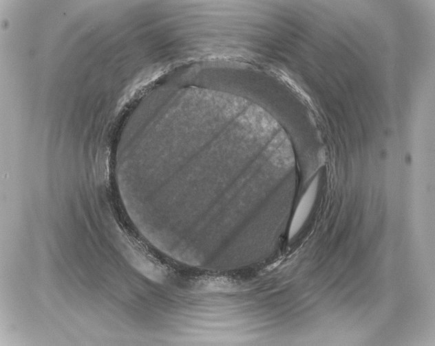 X0000085260685200704092115