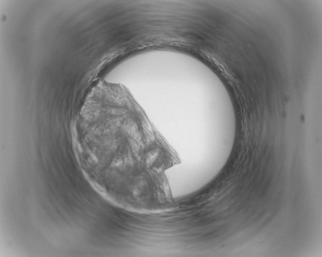 X0000085260687200704092115