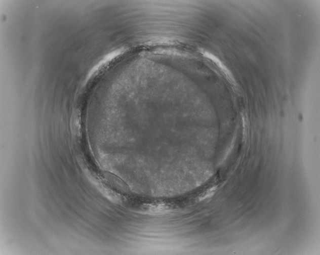 X0000085260688200704092115