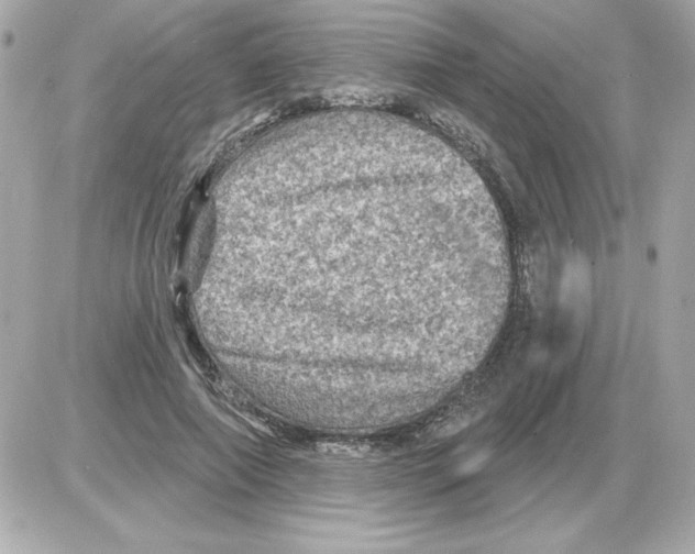 X0000085260690200704092115