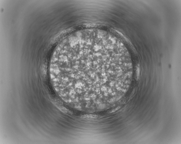 X0000085260691200704092115