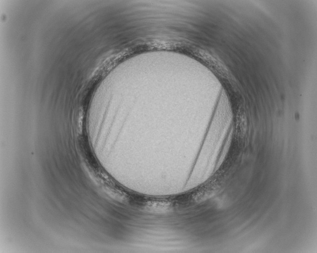 X0000085260694200704092115