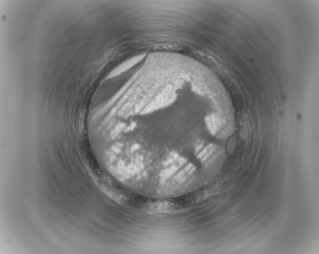 X0000085260695200704092115