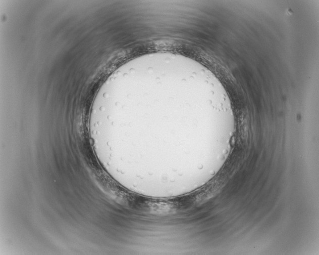 X0000085260698200704092115