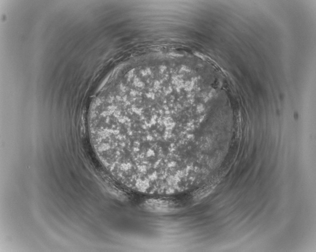 X0000085260699200704092115