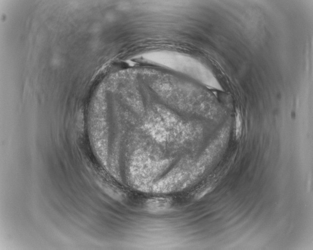 X0000085260700200704092115