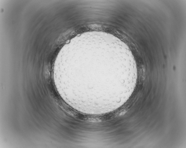 X0000085260702200704092114