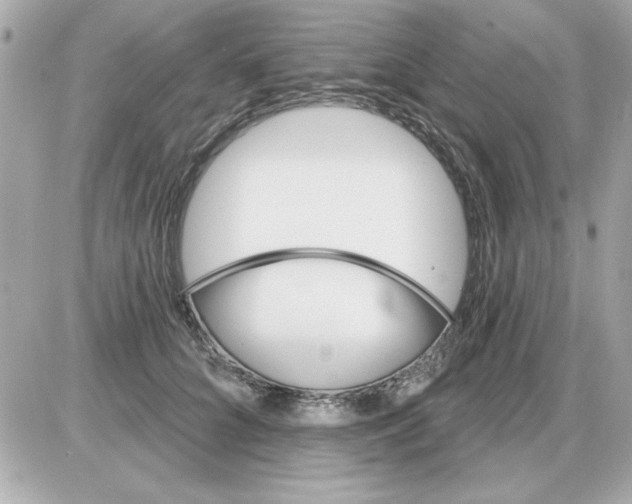 X0000085260704200704092114