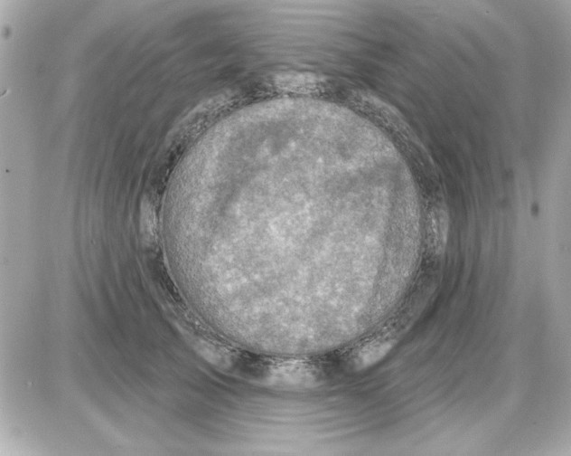 X0000085260705200704092114