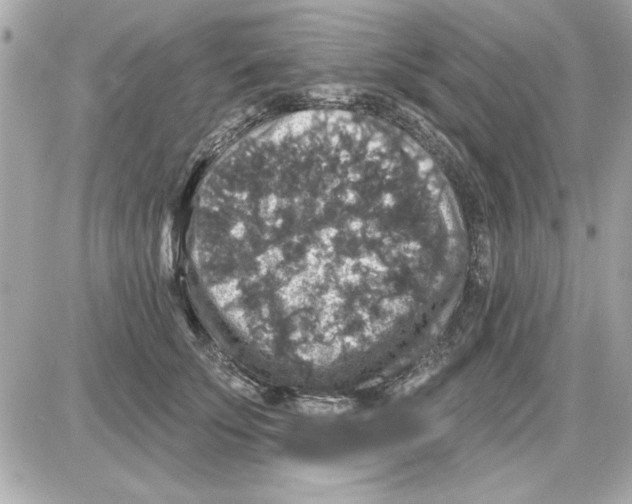 X0000085260707200704092114