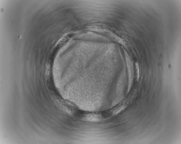 X0000085260708200704092114